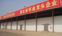 武汉农业重点工程  湖北省农业龙头企业