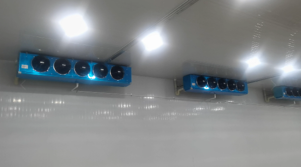 广州芳村花卉市场鲜花冷库